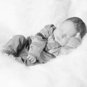 Yoran Fotografie