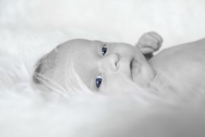Yoran Fotografie
